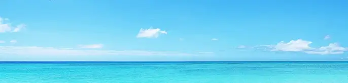 Palm trees on a beach app comp